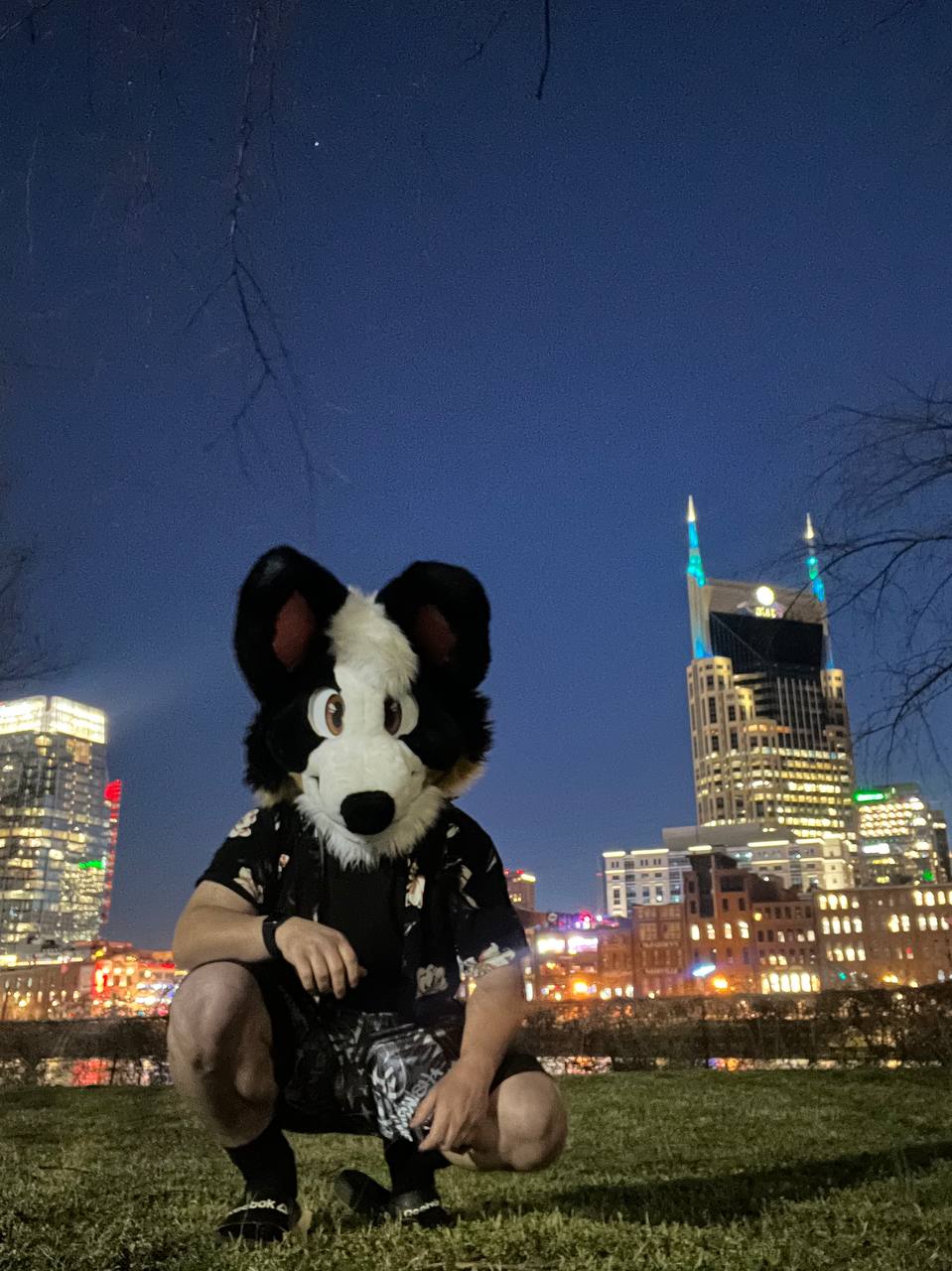 Cassette (Telegram: @Cassette_Corgi)